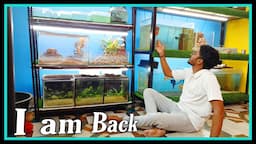 😍 I Am Back With All Fish or Pets Update 😍 Betta fish Breeding, Fish Baby, Monster Fish, Turtle