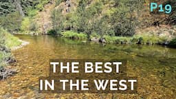 This small stream might be the BEST cutthroat fishery in the WEST!  p19