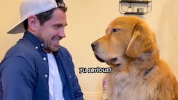 When your dog realizes you're not sharing your snack 🤣Funny Dog Video