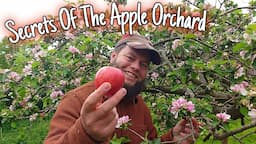 Secrets of the Apple Orchard: Trees That Changed The World! 🍎