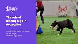 FREE webinar: The role of leading legs in dog agility