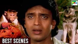 बजरंगी बंदर और बहादुर कुत्ते की Blockbuster परिवार मूवी सीन्स - Parivaar Scenes - Mithun, Meenakshi