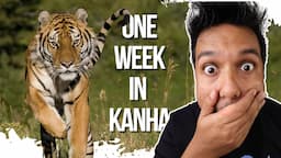 HOW I SURVIVED ONE WEEK IN KANHA TIGER RESERVE 😱