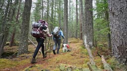 Backpacking in Algonquin Park | High Falls & Eastern Pines Backpacking Trail