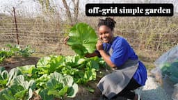 Off-grid living | Growing our own food | Homesteading in South Africa | Millennial Homesteader