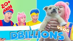 The Best Animal Rescues! (Taking care of animals and pets) | D Billions VLOG English