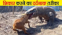 देखिए किस तरह ये अपने शिकार को मारते हैं | See how they kill their prey