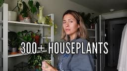 A Real Day of Houseplant Chores | Relaxing Indoor Plant Care Routine