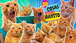 20 CURIOSIDADES y Secretillos de Gato RAYITO de SOL!🌞😹