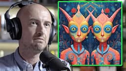 Why Everyone Sees Machine Elves When Tripping on DMT | Andrew Gallimore