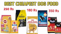 Cheapest & Quality Dog Foods || Best Dog Food Brands || Cheapest Food