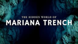 Mariana Trench | In Pursuit of the Abyss