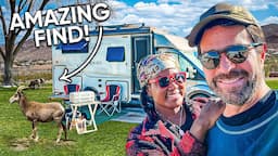 LAKE MEAD RV LIVING | Our experience RV Camping Near Lake Mead (worth it)