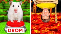 Hamster Maze vs Human Traps 🐹 World’s Most Extreme Elimination Game! Last To Survive Minecraft Wins