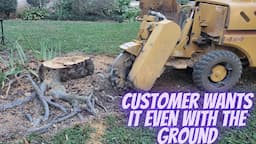 Why Customer Wants Me to Grind Tree Stump Flush with the Ground?