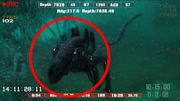 10 Most Bizarre Creatures Found In The Mariana Trench!