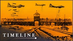 Could The Allies Have Stopped The Holocaust? | 1944: Should We Bomb Auschwitz? | Timeline