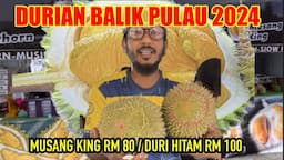 DURIAN BALIK PULAU 2024 | TINJAU HARGA DURIAN AWAL MUSIM BLACK THORN RM 100 | MUSANG KING RM 80