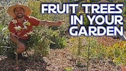 Growing Fruit Trees IN My Vegetable Garden & What to Avoid