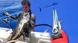 Bluewater Spearfishing Catch & Cook