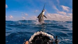 Fishn With Mates S8 Ep 6 Sailfish Central