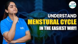 Understand Menstrual Cycle in the Easiest Way! | NEET 2024 | Menstrual Cycle | NEET 2024 Zoology