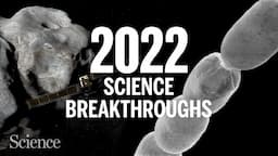 The biggest science breakthroughs in 2022