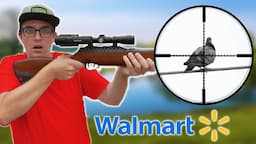 I Bought Walmart's Most Expensive Air Rifle