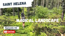 🇸🇭St Helena Island - Tour around Jamestown, Clifford Arboretum and High Peak