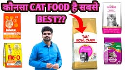 All Cat food reviews | Best Cat food | pocket friendly cat foods in india