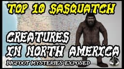 The "Top 10 Most Notable Sasquatch Creatures in North America!" Bigfoot Cryptids Revealed