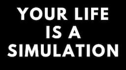 YOUR LIFE IS A SIMULATION