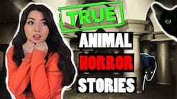 TRUE Animal Ghost Stories - Pets That Came Back to Haunt