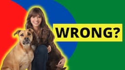 Veterinarian vs. Victoria Stilwell | It's Me or The Dog