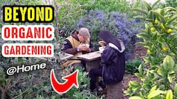 How To Grow A "Better Than Organic" Garden At Home | Beyond Organic Gardening