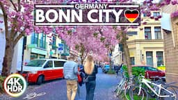 🌸 2024 Pretty Cherry Blossoms in Bonn Germany, Full Bloom - 4K HDR Walking Tour