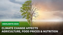 Highlights of 2023: Impact Of Climate Change On Agriculture, Food Prices And Nutrition