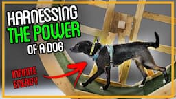 I Brought Back this 15th Century Dog Powered Technology