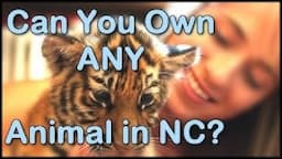 What Exotic Pets are Legal (and Illegal) in North Carolina?