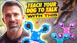 Expert Tips for Teaching Your Dog to Talk with the PETOPIX Button Set