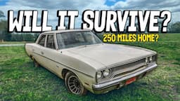 FORGOTTEN Plymouth Satellite! Will It RUN and DRIVE 250 Miles Home?