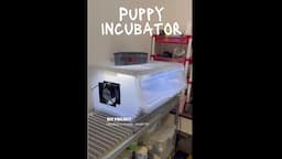 Puppy Incubator DIY Project