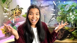 reacting to my subscribers' PLANTED turtle tanks (naturalistic edition 🌱)