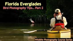 How To Photograph Birds From A Kayak Florida Everglades Part 2