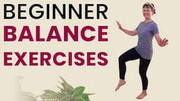 Beginner Balance Exercise Workout