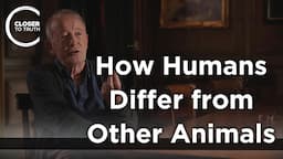 Nicholas Humphrey - How Humans Differ from Other Animals