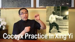 Internal Style Concepts (69): Coccyx in Xing Yi