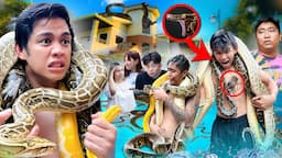 Last to Survive sa SNAKE POOL - WINS P50,000