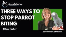 Three Tips to Stop Parrot Biting