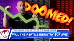 Is The Reptile Market Doomed? | Future of Reptile Keeping and Breeding Industry